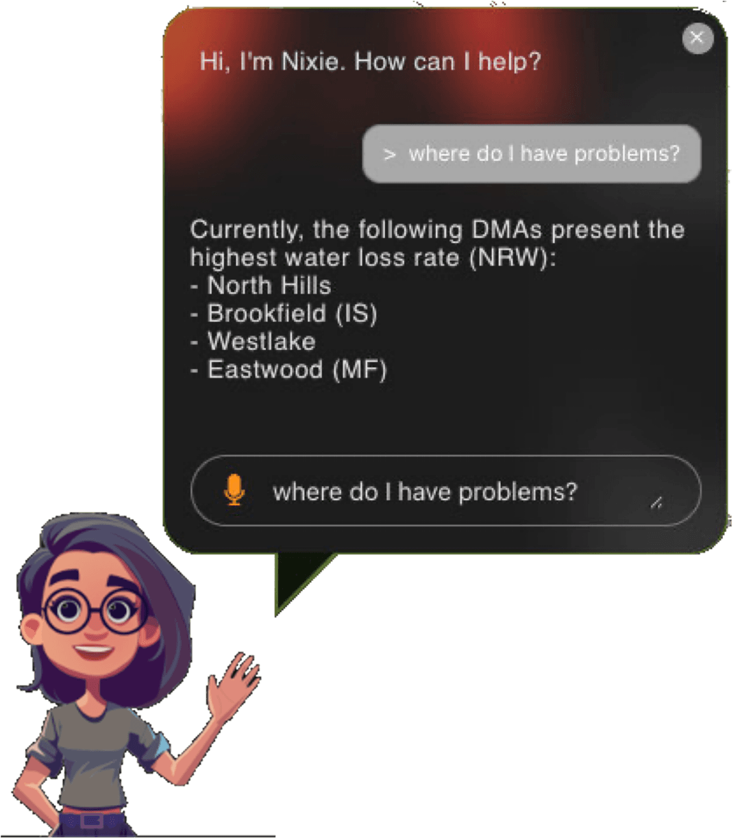 Nixie listing the DMAs with the highest water loss